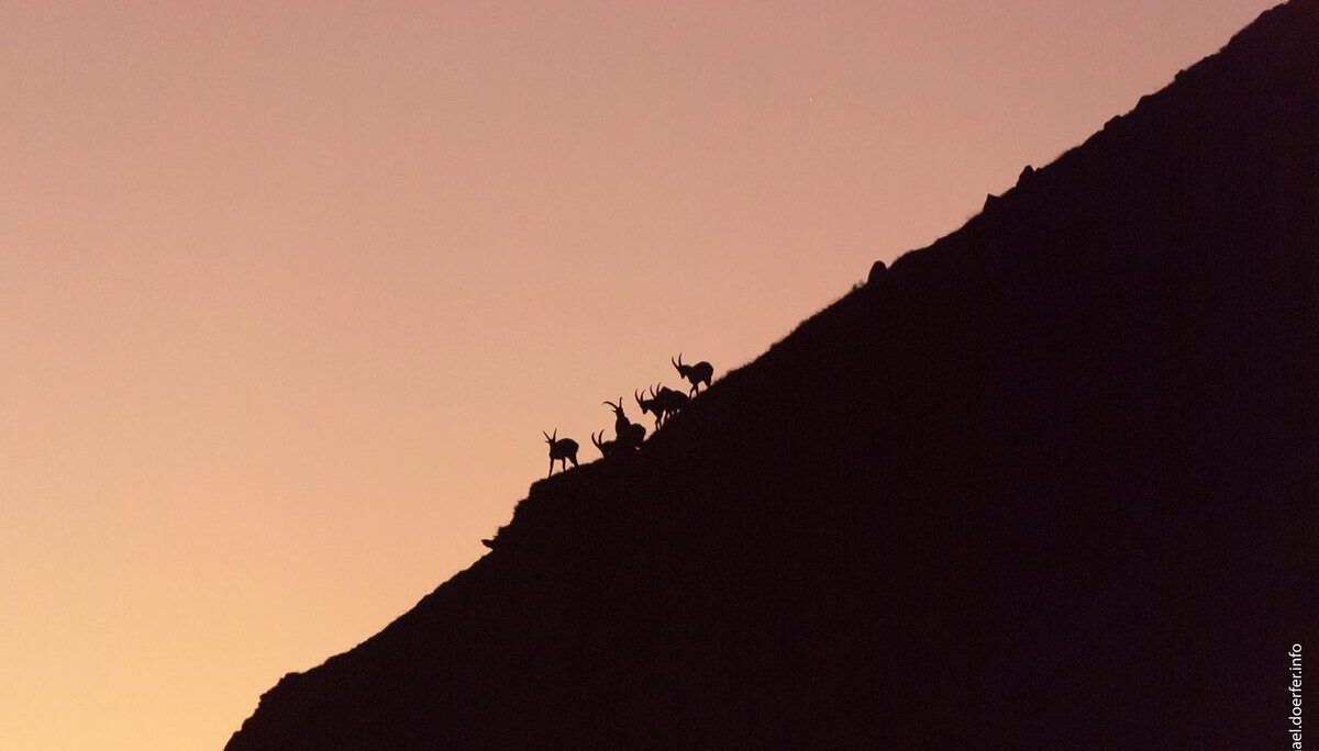 © Michael Dörfer