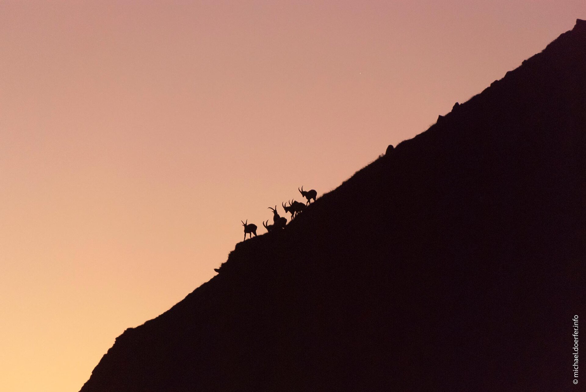 © Michael Dörfer