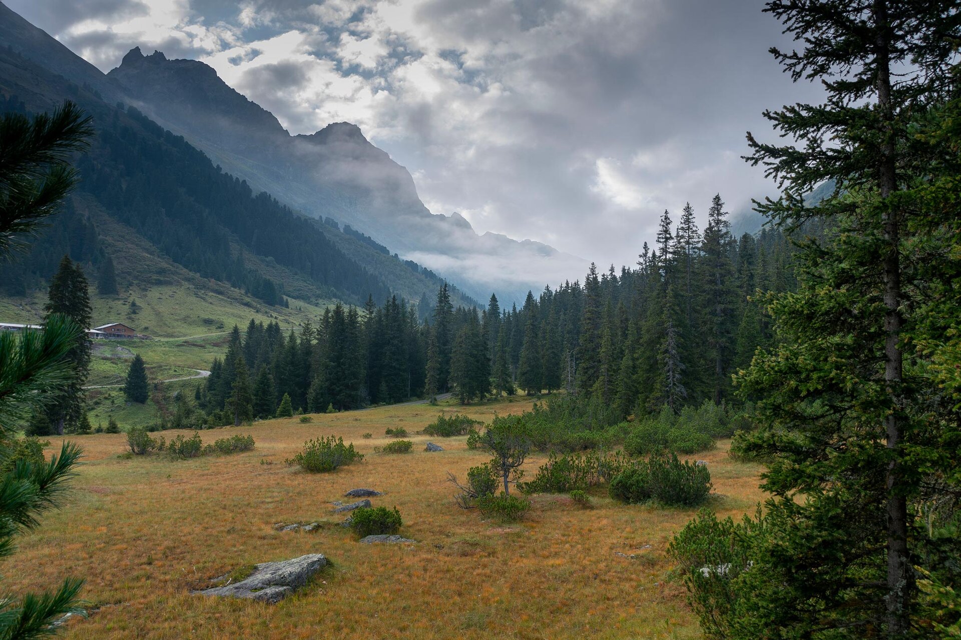 © Michael Dörfer
